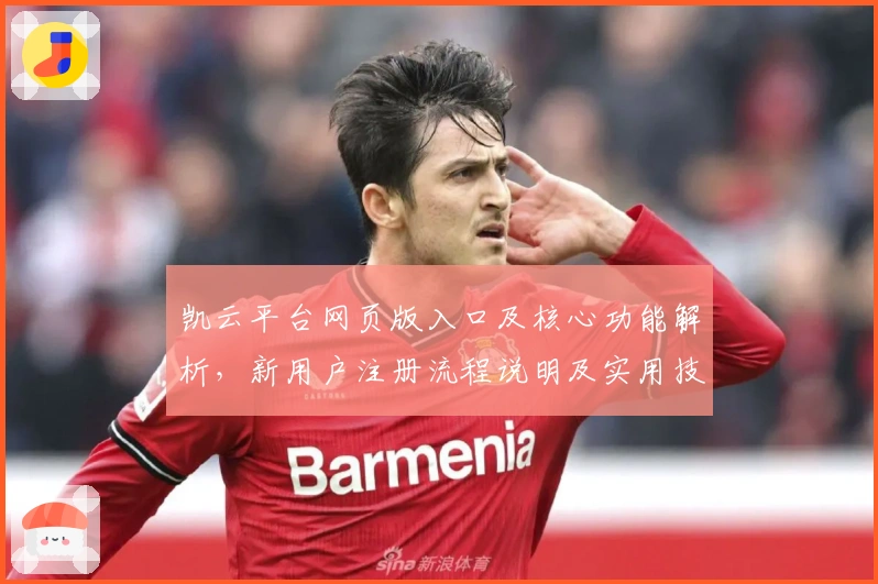 凯云平台网页版入口及核心功能解析，新用户注册流程说明及实用技巧分享