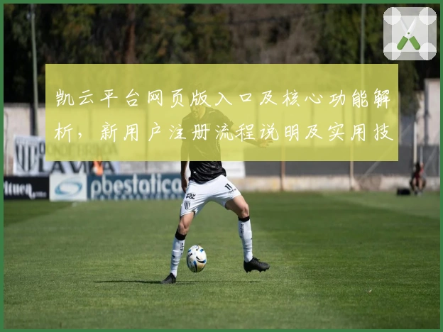 凯云平台网页版入口及核心功能解析，新用户注册流程说明及实用技巧分享